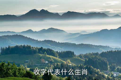 稅字代表什么生肖，十二生肖各代表什么字