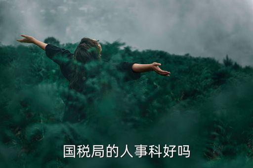 國稅人事科做什么，縣國稅局的人事歸哪里管基層分局的級別