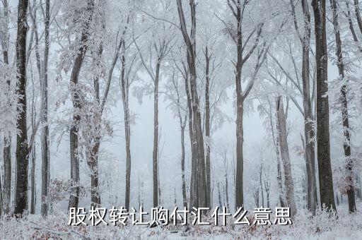 什么是售付匯，股權(quán)轉(zhuǎn)讓購(gòu)付匯什么意思