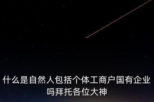 稅務(wù)上的自然人指的是什么，申請人為自然人的是什么意思