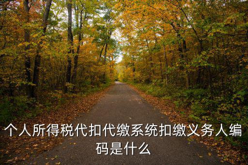 扣繳義務(wù) 填什么，請(qǐng)問(wèn)扣繳義務(wù)人編碼是指什么呀