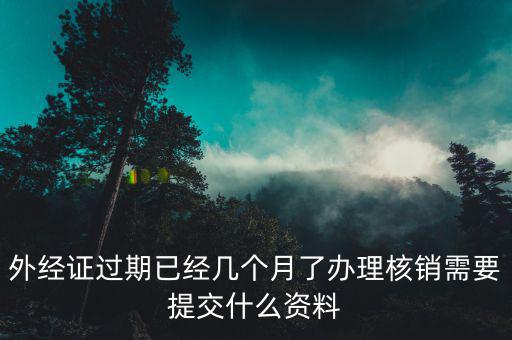 上海外經(jīng)證核銷資料要些什么，外經(jīng)證過期已經(jīng)幾個月了辦理核銷需要提交什么資料