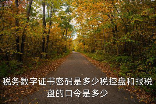 寧波國稅ca密碼是什么，寧波市電子稅務(wù)局登陸密碼