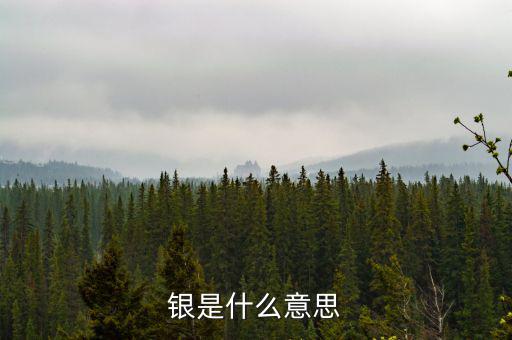 財(cái)稅庫(kù)銀是什么意思，銀是什么意思