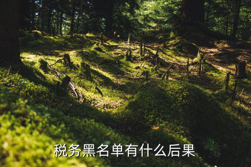 稅收黑名單制度是什么，關(guān)于上了稅務(wù)黑名單影響出境嗎