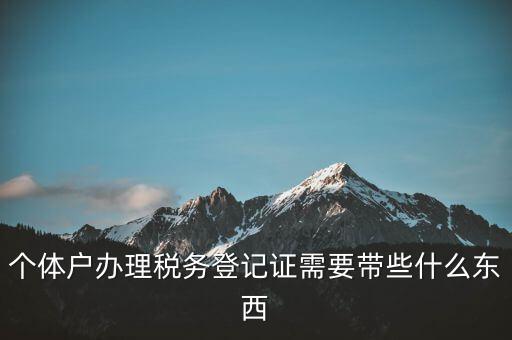 個體稅務登記證需要什么材料，個體戶辦理稅務登記證需要帶些什么東西