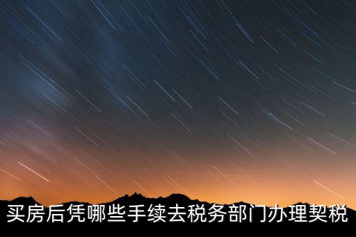 購(gòu)房要在國(guó)稅辦什么，現(xiàn)在買(mǎi)房要辦些什么證件買(mǎi)房者與賣(mài)房者所交稅務(wù)有那些夠房者現(xiàn)