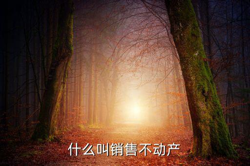 銷售不動產(chǎn)構(gòu)筑物是什么，計算交納稅金時企業(yè)銷售房屋建筑物等不動產(chǎn)按照稅法的有關(guān)