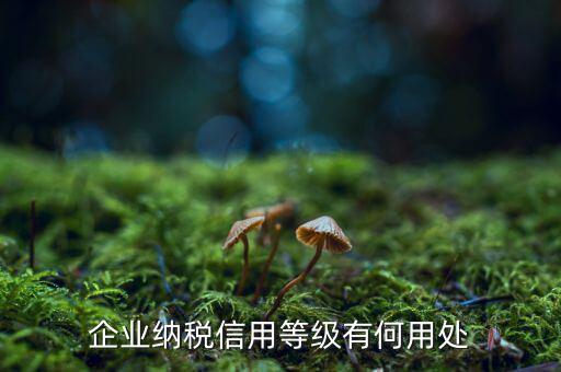 納稅等級(jí)有什么用，請(qǐng)問(wèn)什么是分級(jí)別納稅信用單位怎么得到這種稱號(hào)得到了又有啥好
