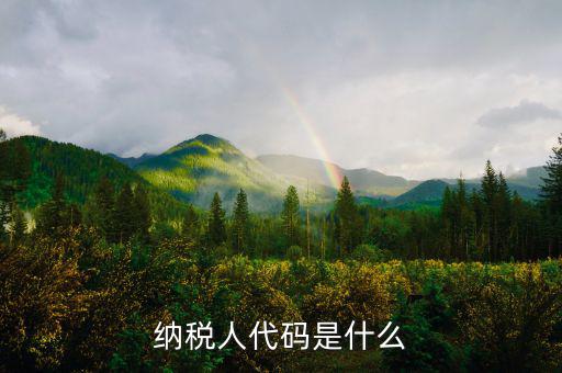 個(gè)人納稅人代碼是什么，納稅人代碼是什么