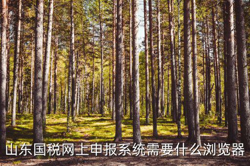 國(guó)稅網(wǎng)站用什么瀏覽器，山東國(guó)稅網(wǎng)上申報(bào)系統(tǒng)需要什么瀏覽器