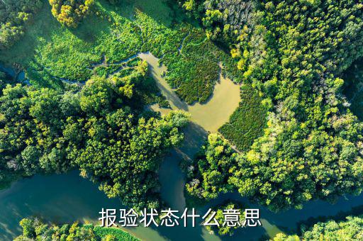 報驗(yàn)狀態(tài)什么意思