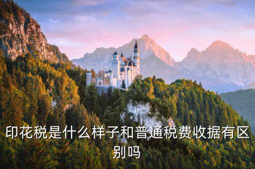稅花什么樣，印花稅是什么樣子和普通稅費收據(jù)有區(qū)別嗎