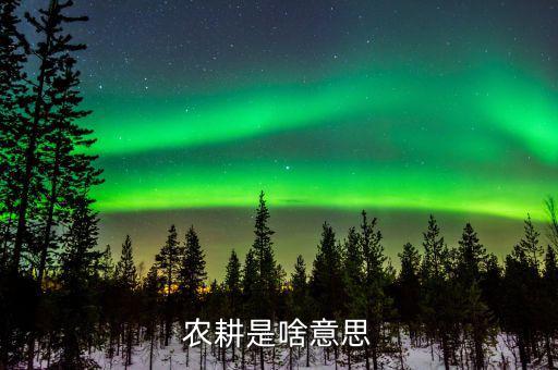農(nóng)業(yè)機(jī)耕是什么意思，東機(jī)耕是什么