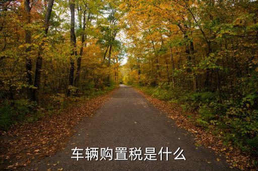 車(chē)購(gòu)稅資金是什么，購(gòu)置稅是什么