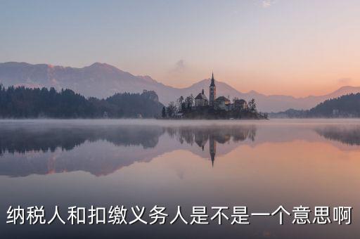 稅務(wù)人是什么，什么是納稅義務(wù)人