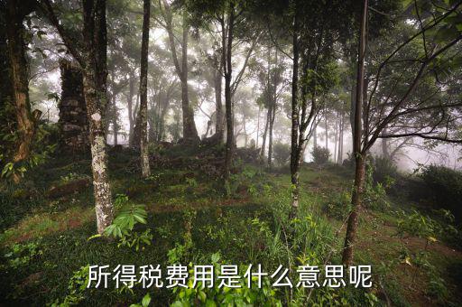 所得稅支出什么意思，企業(yè)所得稅是什么意思