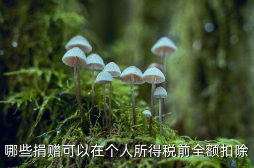 什么捐贈(zèng)可以稅前扣除，求助企業(yè)在所得稅前可以扣除的捐贈(zèng)支出