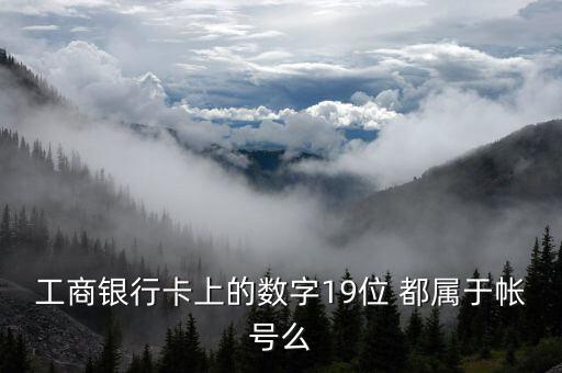 工行19位賬號(hào)應(yīng)用號(hào)是什么，請(qǐng)解釋工商銀行19位帳號(hào)的組成含義