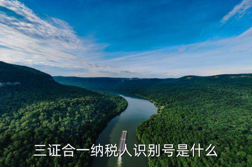 三證合一稅務(wù)識(shí)別號(hào)是什么，三證合一后納稅人識(shí)別號(hào)是什么意思