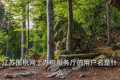 江蘇國稅用戶名密碼是什么意思，江蘇國稅網(wǎng)上辦稅服務(wù)廳的用戶名是什么