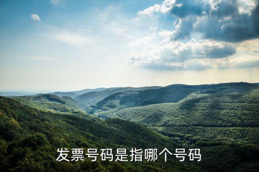 什么是發(fā)票的查詢號，發(fā)票號碼是指哪個號碼