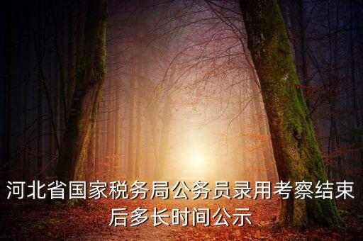 國稅一般什么時候公示，河北省國家稅務(wù)局公務(wù)員錄用考察結(jié)束后多長時間公示