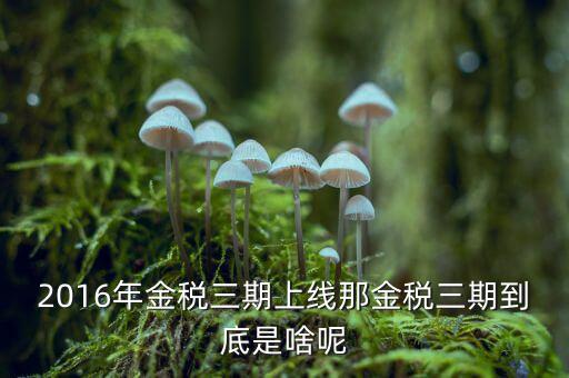 金稅三期雙軌是什么，金稅三期是什么意思