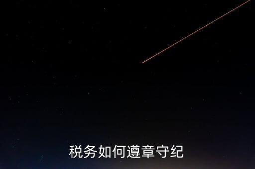稅務(wù)守紀(jì)律是什么意思，呵呵 什么叫做守紀(jì)律