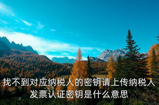 找不到對(duì)應(yīng)納稅人的密鑰請上傳納稅人發(fā)票認(rèn)證密鑰是什么意思