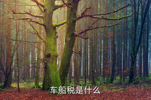 摩托車(chē)車(chē)船稅是什么，摩托車(chē)也收車(chē)船稅嗎