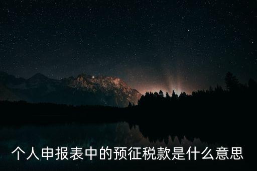個人申報(bào)表中的預(yù)征稅款是什么意思