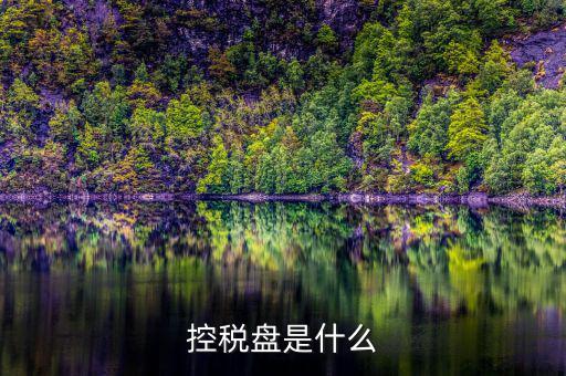 什么是金稅盤 什么是稅控盤，稅控盤的介紹