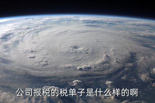 稅務(wù)清單是什么樣的，公司報(bào)稅的稅單子是什么樣的啊