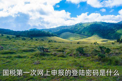 浙江國稅登入密碼是什么意思，稅務(wù)局網(wǎng)站的登入賬戶初始密碼是什么