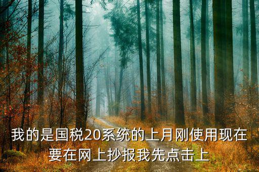 百望什么時(shí)候點(diǎn)抄報(bào)，我的是國稅20系統(tǒng)的上月剛使用現(xiàn)在要在網(wǎng)上抄報(bào)我先點(diǎn)擊上