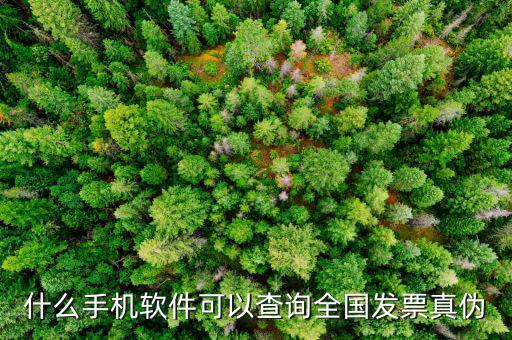 驗發(fā)票真假什么軟件，請問有沒有學(xué)習(xí)增值稅防偽開票的模仿操作軟件