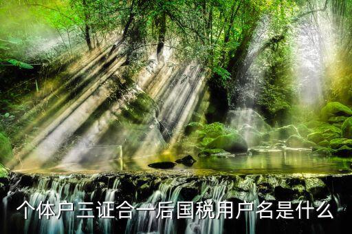 三證合一叫什么名字，個體戶三證合一后國稅用戶名是什么