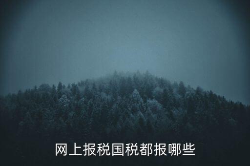 國稅云辦稅廳都報(bào)什么，你好我是新手我想問一下前輩國稅每月季年都報(bào)什么報(bào)表