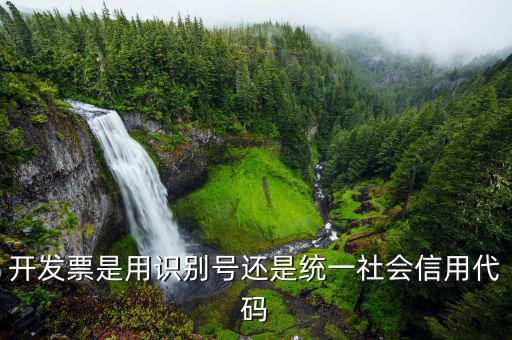 發(fā)票統(tǒng)一社會(huì)信用代碼是什么意思，開發(fā)票是用識(shí)別號(hào)還是統(tǒng)一社會(huì)信用代碼