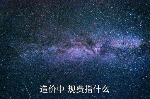 什么叫規(guī)費 稅金，規(guī)費是什么意思