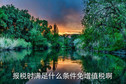 什么情況免征增值稅，哪些屬于免征增值稅