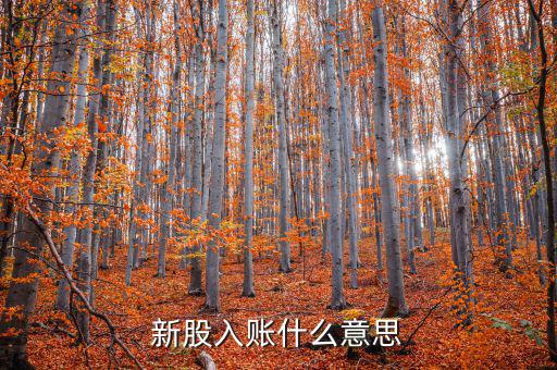 入賬機(jī)構(gòu)什么意思，銀聯(lián)入賬是什么意思