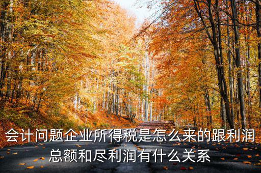 企業(yè)所得稅和什么有關(guān)，增值稅和企業(yè)所得稅有關(guān)系么