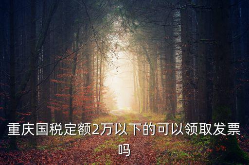 重慶用的什么定額發(fā)票，重慶國稅定額2萬以下的可以領(lǐng)取發(fā)票嗎