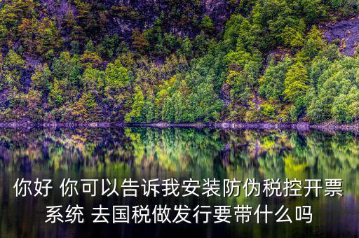 稅控發(fā)行是要做什么，稅控盤發(fā)行都呆哪些東西去稅務(wù)局需要法人去嗎