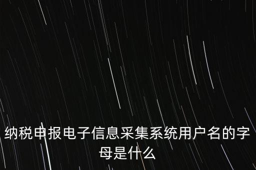 江蘇國稅電子稅務(wù)局登錄用戶名是什么意思，江蘇國稅網(wǎng)上辦稅服務(wù)廳的用戶名是什么