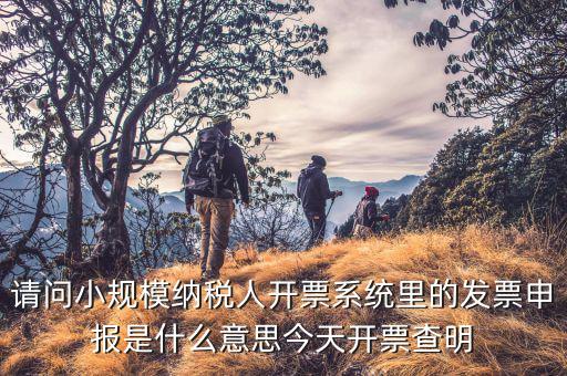 納稅人申報(bào)是什么意思，申報(bào)納稅是什么意思為什么取得營業(yè)執(zhí)造后30天就申報(bào)還沒有銷售