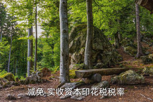 減實(shí)收資本要交什么稅，實(shí)收資本在注冊(cè)登記后就需要繳納印花稅以后按年度增加部分計(jì)算繳