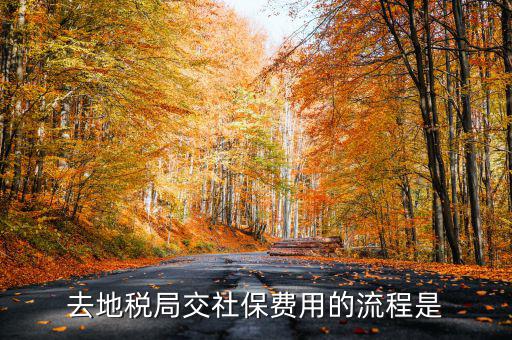 地稅局交社保需要什么手續(xù)費(fèi)，去地稅局交社保費(fèi)用的流程是